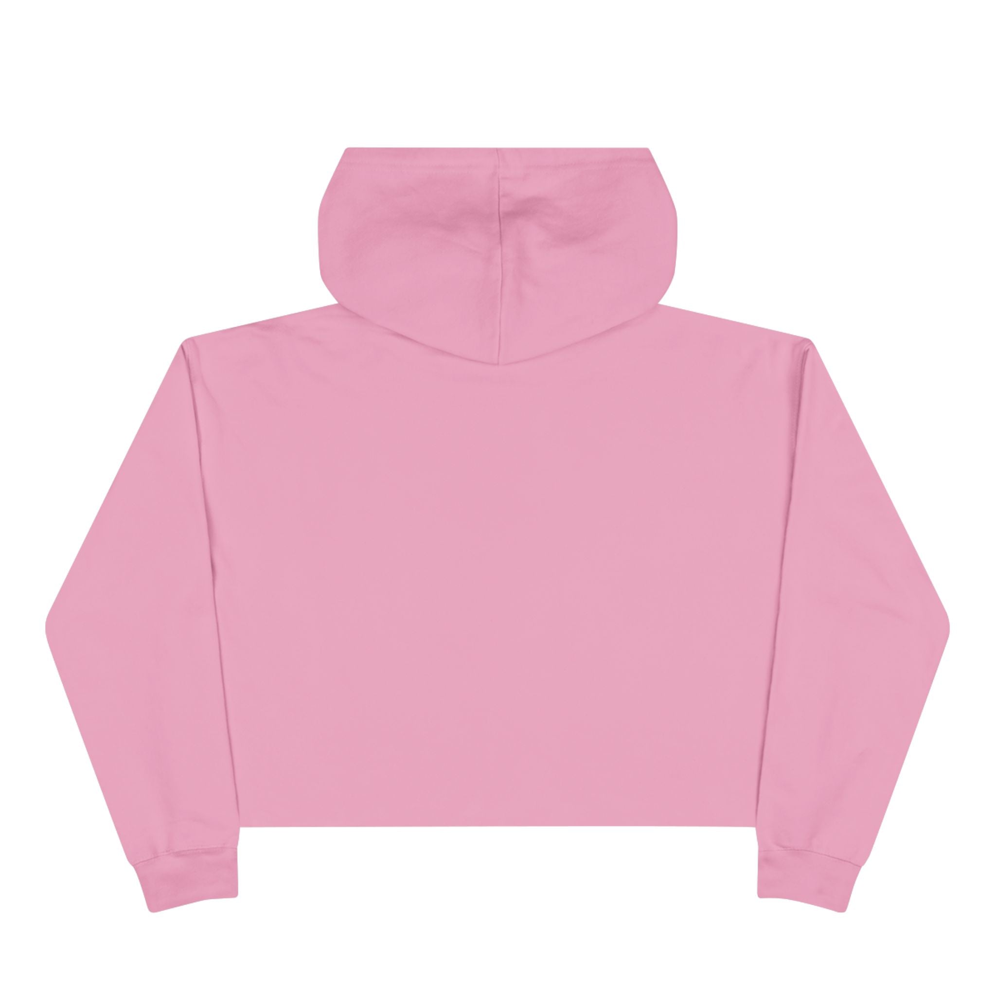 Roller Pole Crop Hoodie